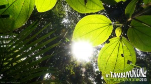 Mount Tambuyukon Expedition  